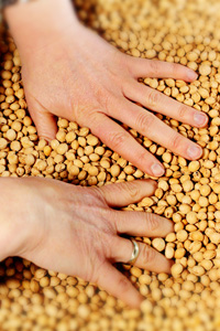 Hände in Mais Training