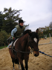 Eine Person und ein Pferd beim longieren